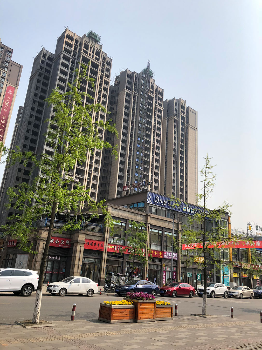 樂(lè )山市沙灣區銀杏國際2