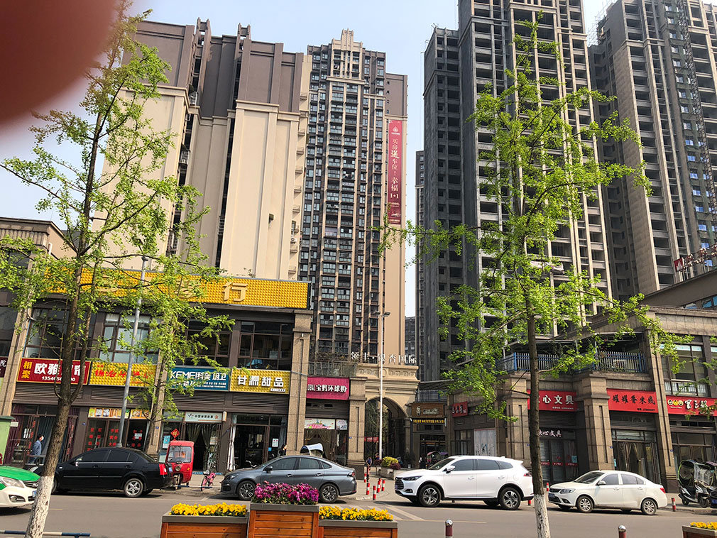 樂(lè )山市沙灣區銀杏國際4