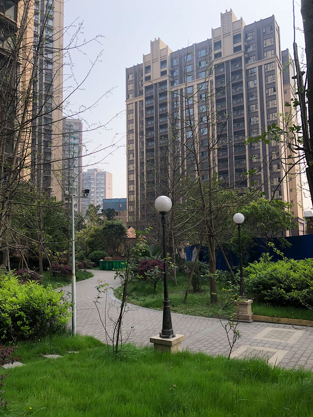 樂(lè )山市沙灣區銀杏國際5